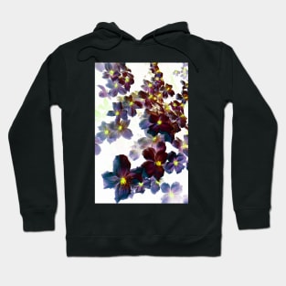 Designer 103365 x13 Hoodie